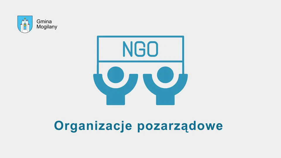 grafika + napis: organizacje pozarządowe